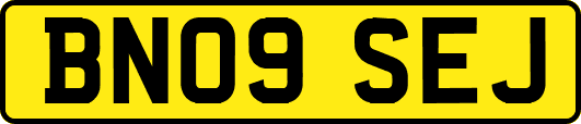 BN09SEJ