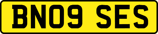 BN09SES