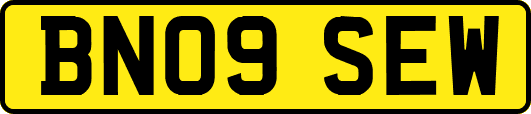 BN09SEW