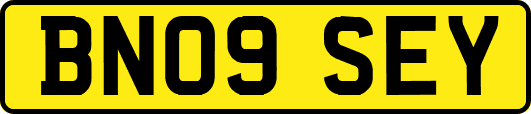 BN09SEY
