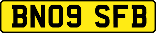 BN09SFB