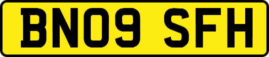 BN09SFH