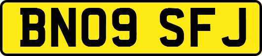 BN09SFJ