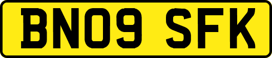 BN09SFK