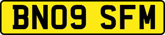 BN09SFM