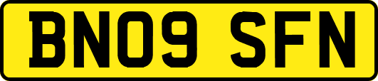 BN09SFN