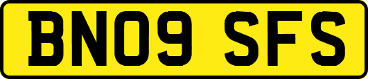 BN09SFS