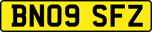 BN09SFZ