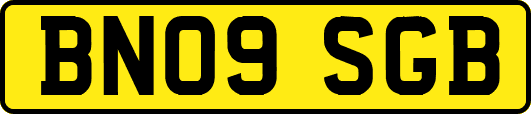BN09SGB
