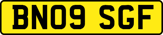 BN09SGF