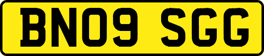 BN09SGG