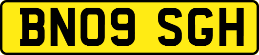 BN09SGH