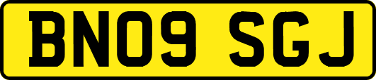 BN09SGJ