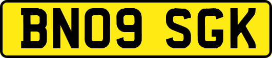 BN09SGK