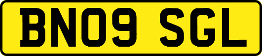 BN09SGL