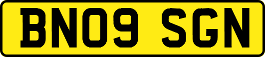 BN09SGN