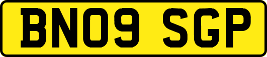BN09SGP