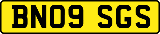 BN09SGS