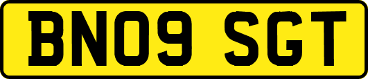 BN09SGT