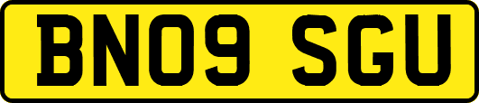 BN09SGU