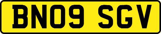 BN09SGV