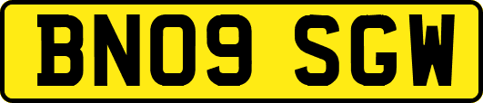 BN09SGW