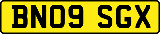 BN09SGX
