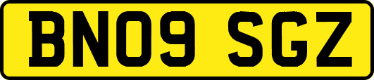 BN09SGZ