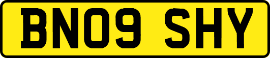 BN09SHY