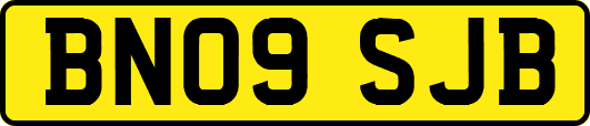 BN09SJB
