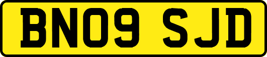 BN09SJD