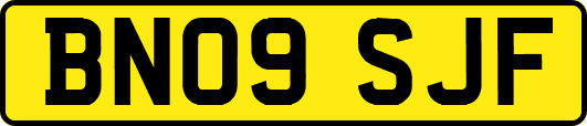 BN09SJF