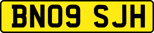 BN09SJH