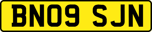 BN09SJN
