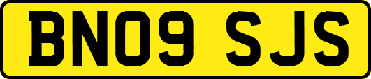 BN09SJS
