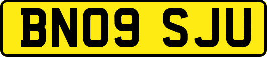 BN09SJU