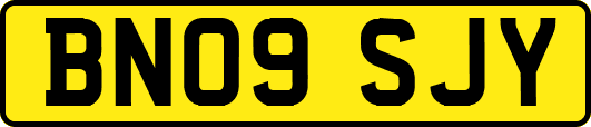 BN09SJY