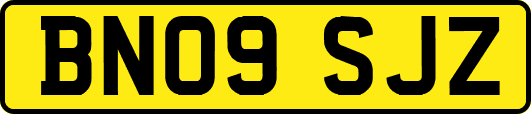 BN09SJZ