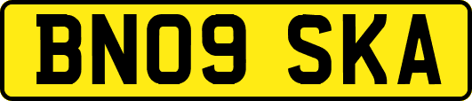 BN09SKA