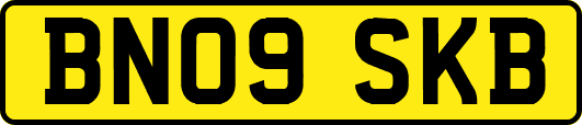 BN09SKB
