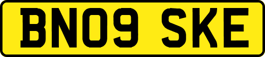 BN09SKE