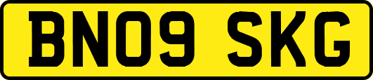 BN09SKG