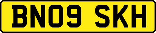 BN09SKH