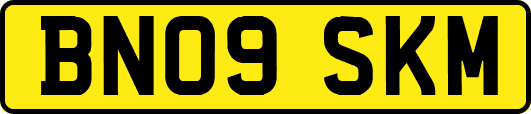 BN09SKM