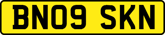 BN09SKN
