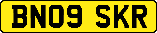 BN09SKR