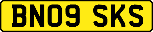 BN09SKS