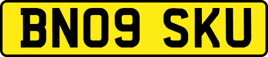 BN09SKU