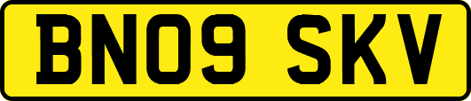 BN09SKV