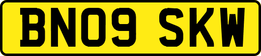 BN09SKW